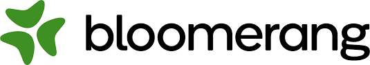 Bloomerang logo