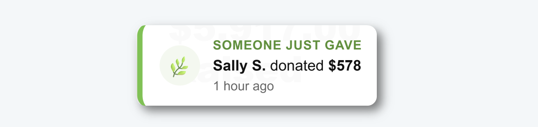 Donation Widget Popup-1
