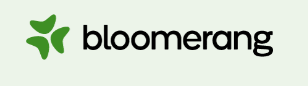 bloomerang logo