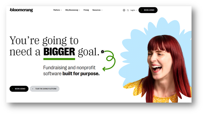 bloomerang, a nonprofit crm