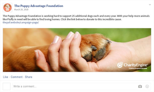 multi-channel-fundraising-facebook-post(1)