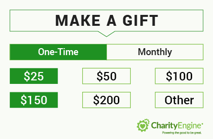 recurring-donations_One_Time_Gift_Gift_Giving_Form_One_Time_Selected[1]