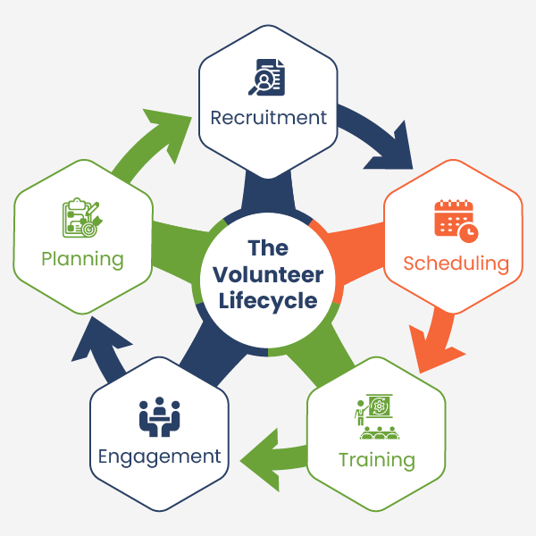 The stages of the volunteer lifecycle, which can be facilitated by volunteer management software.