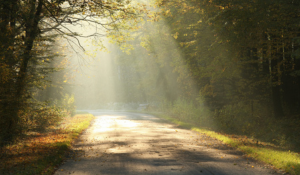 How to Build a Seamless Donor Journey Across Channels