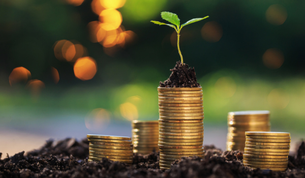 Endowment Management for Nonprofits: Strategy, Rules, and Best Practices