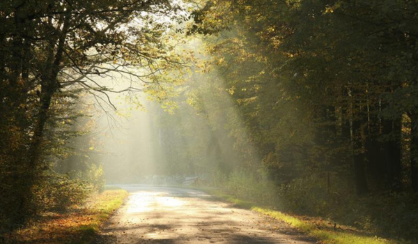 How to Build a Seamless Donor Journey Across Channels