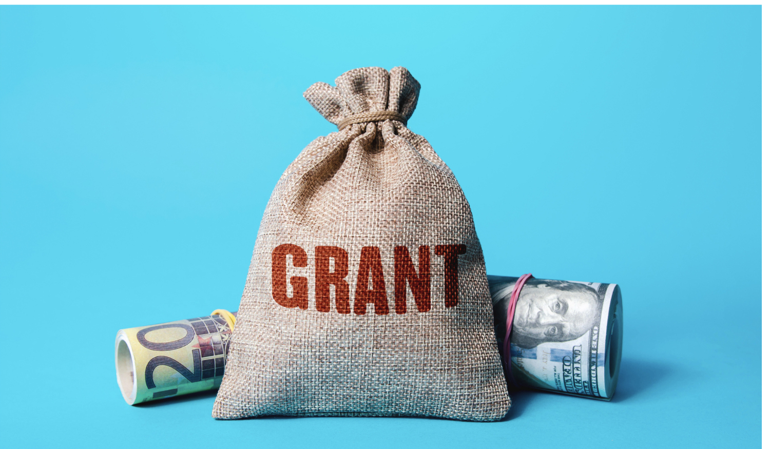 Grant-Seeking Essentials for Nonprofits